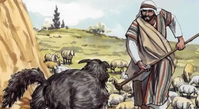 The Shepherd, The Sheep & Our Security